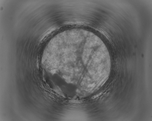 X0000087350967200705181122