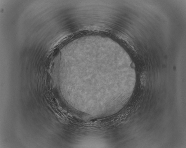 X0000087350968200705181122