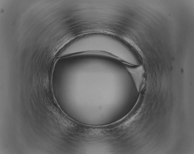 X0000087350969200705181122