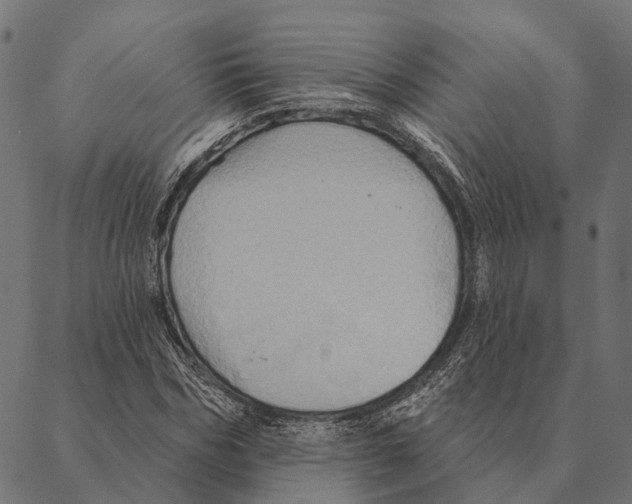 X0000087350970200705181122