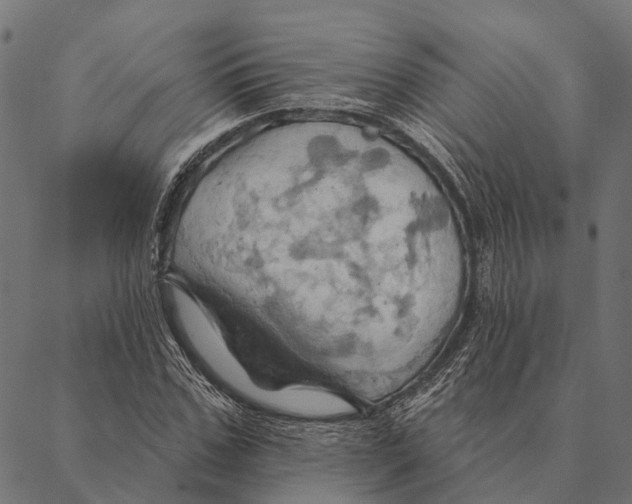 X0000087350971200705181122