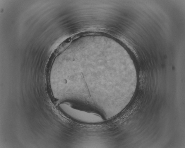 X0000087350972200705181122