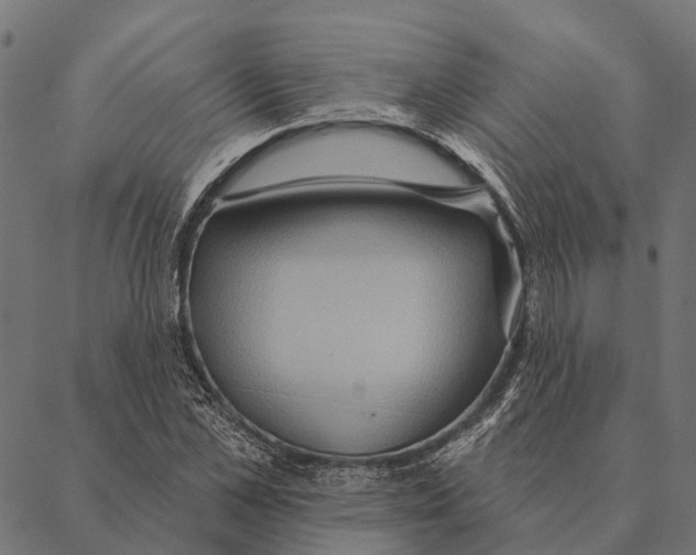 X0000087350973200705181122