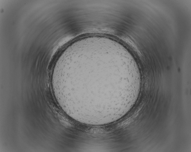 X0000087350974200705181122