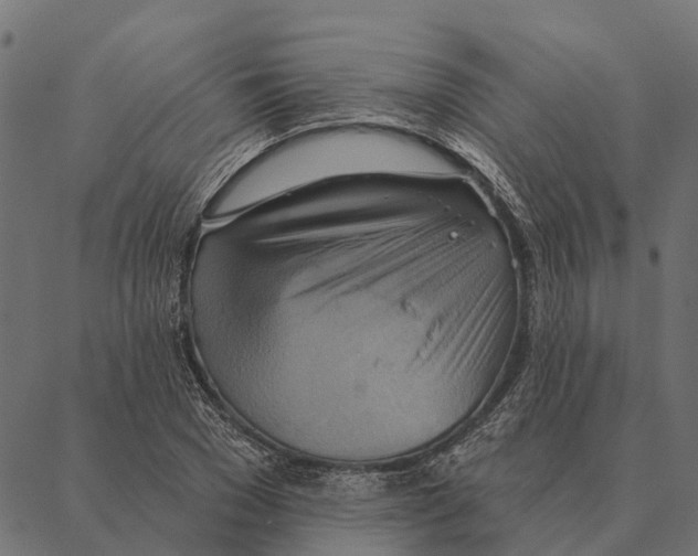 X0000087350977200705181122