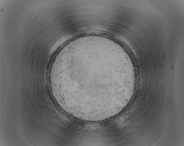 X0000087350978200705181122