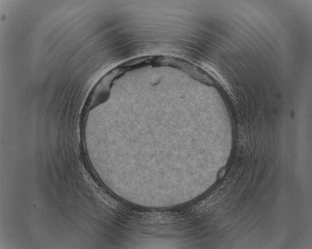 X0000087350980200705181122