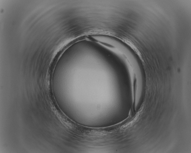 X0000087350981200705181122