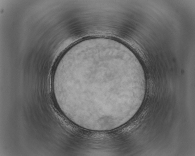 X0000087350982200705181122