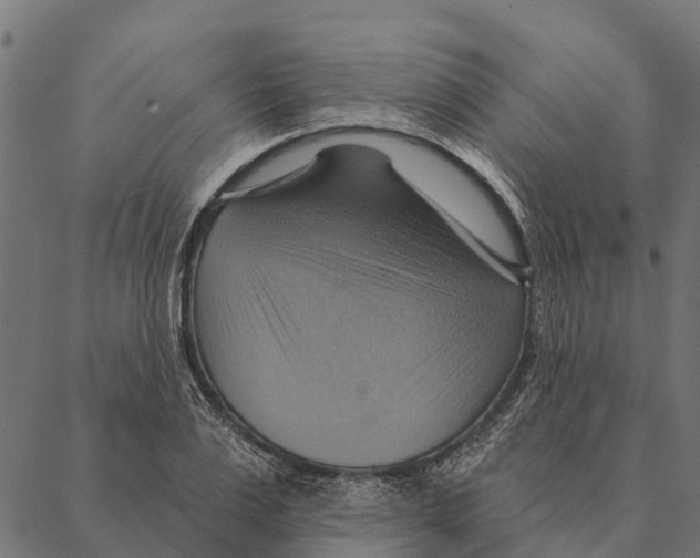 X0000087350983200705181122