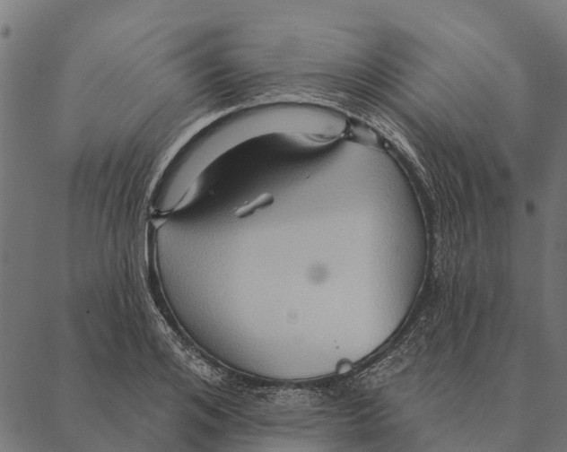 X0000087350984200705181122