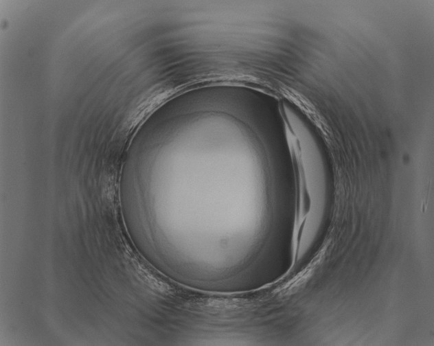 X0000087350985200705181122