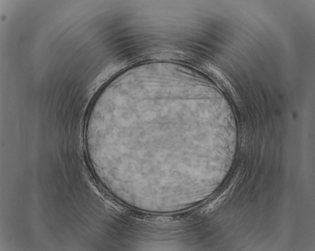 X0000087350986200705181122