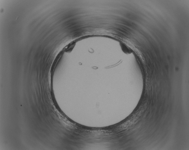 X0000087350988200705181122