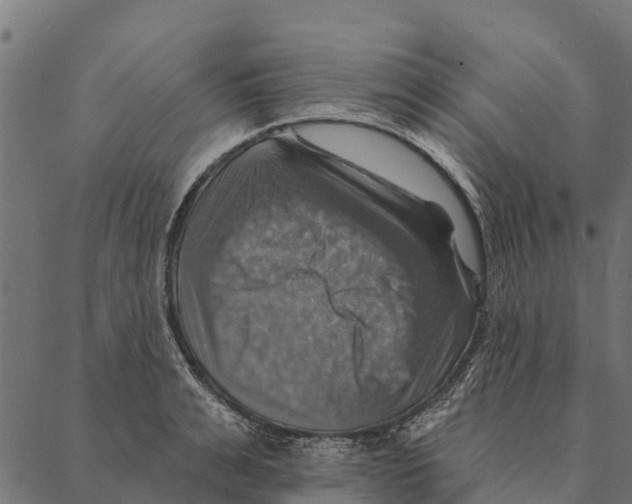 X0000087350991200705181122