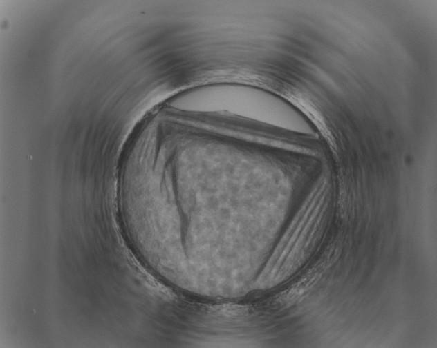 X0000087350992200705181122