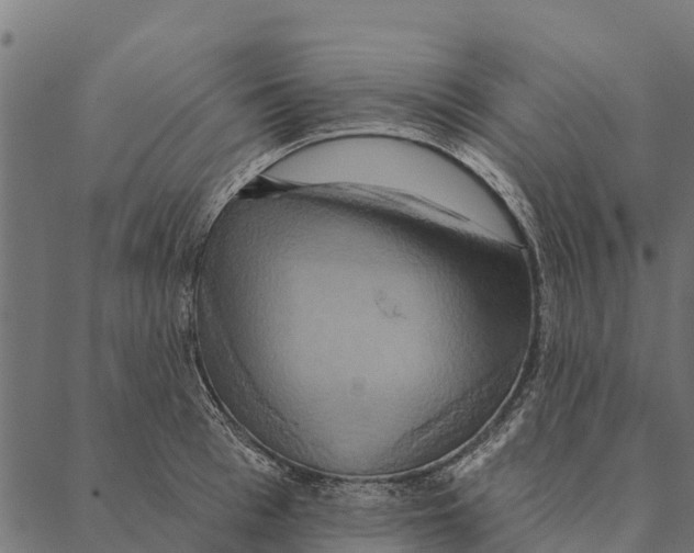 X0000087350993200705181122