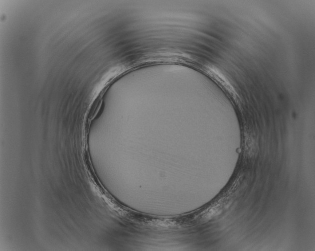 X0000087350994200705181122