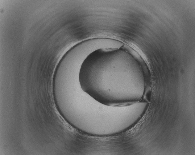 X0000087350996200705181122