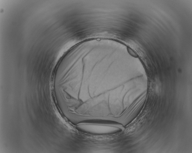 X0000087350998200705181122