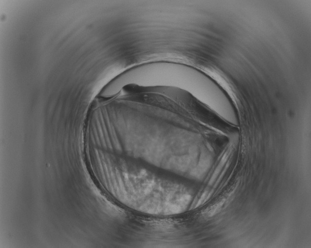 X0000087350999200705181122