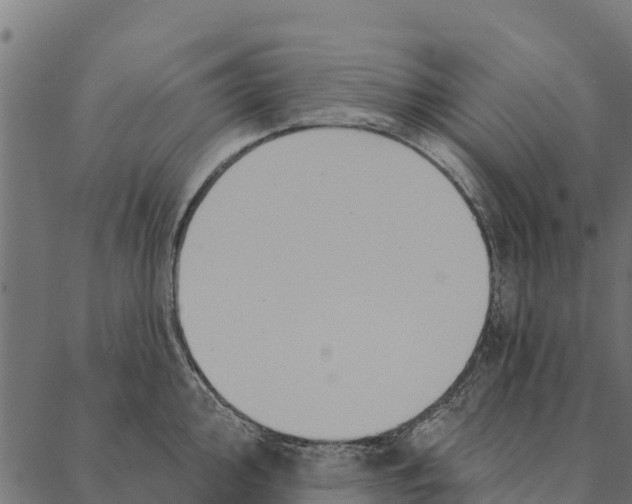 X0000087351000200705181122