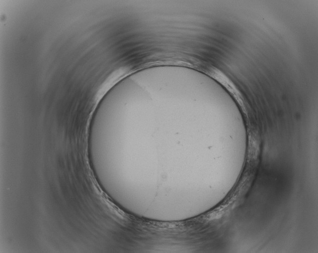 X0000087351002200705181122