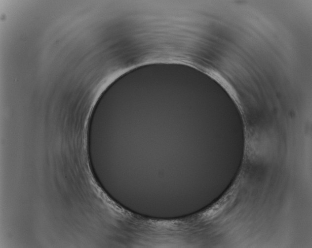 X0000087351004200705181122