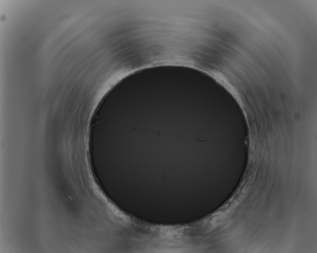 X0000087351005200705181122