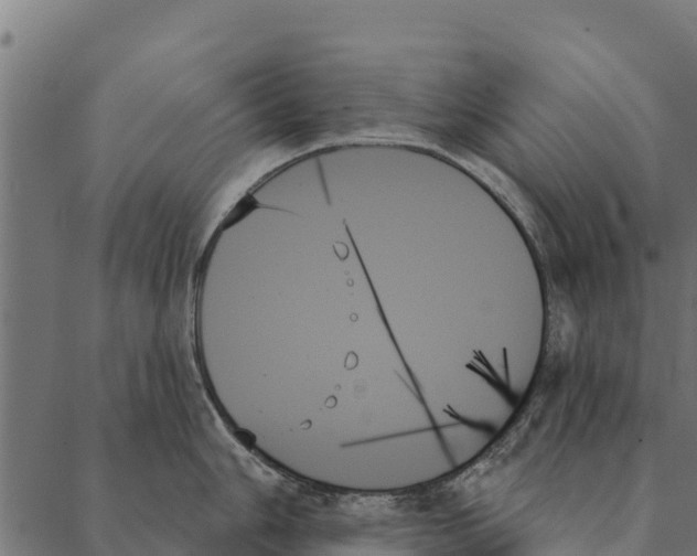 X0000087351006200705181122