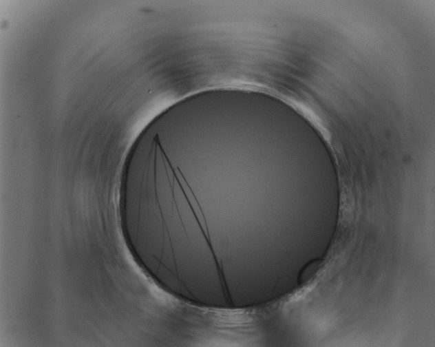 X0000087351007200705181122