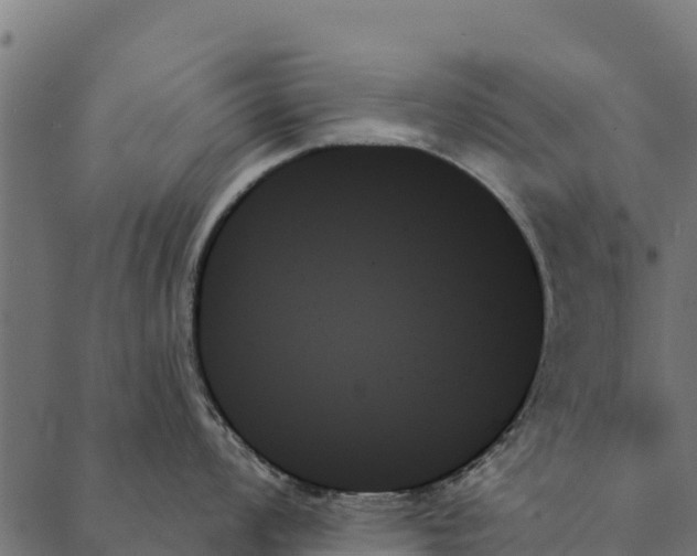 X0000087351008200705181121