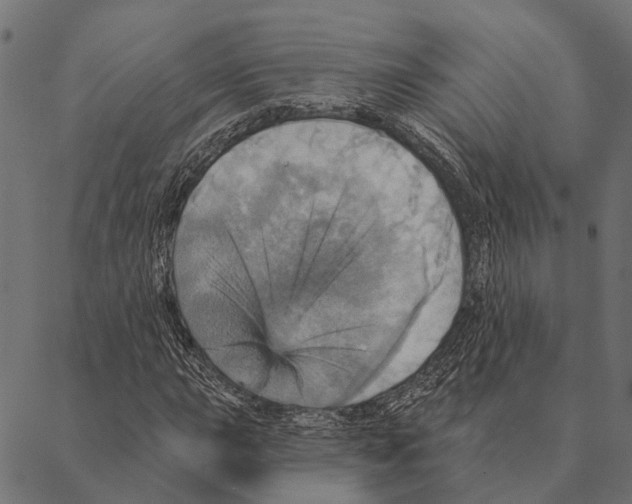 X0000087351015200705181121