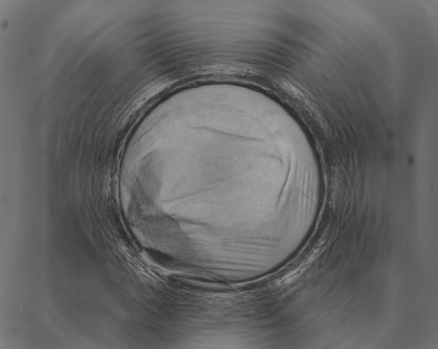 X0000087351017200705181121