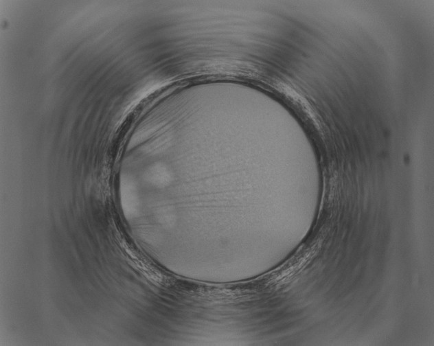 X0000087351019200705181121