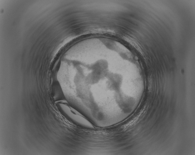 X0000087351021200705181121