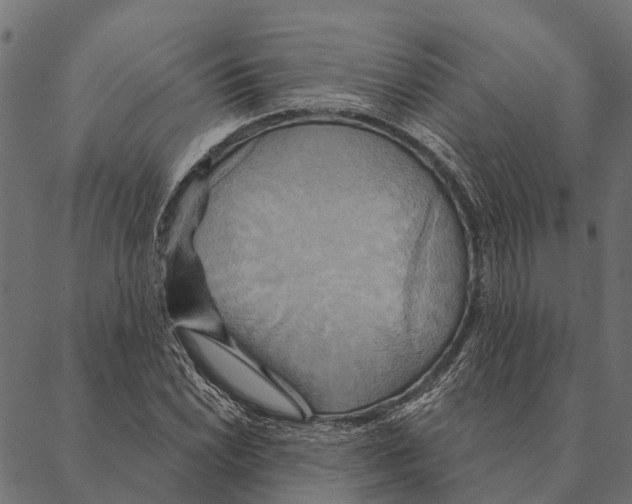 X0000087351022200705181121