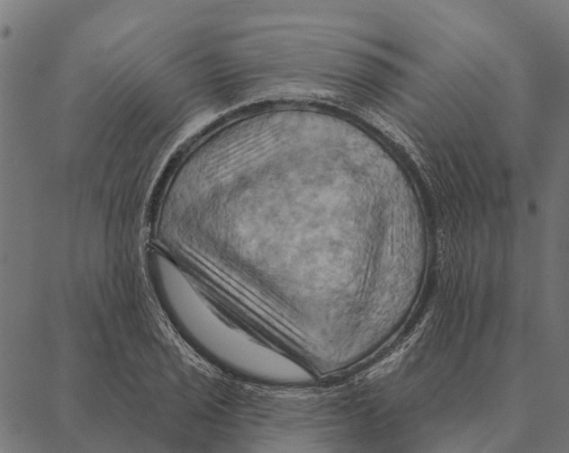 X0000087351029200705181121