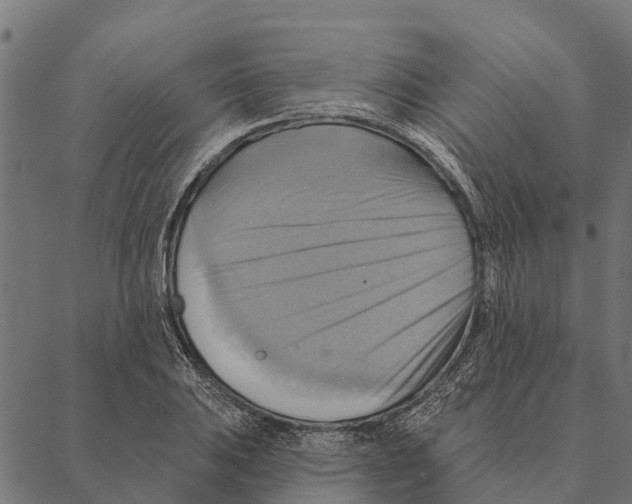 X0000087351031200705181121