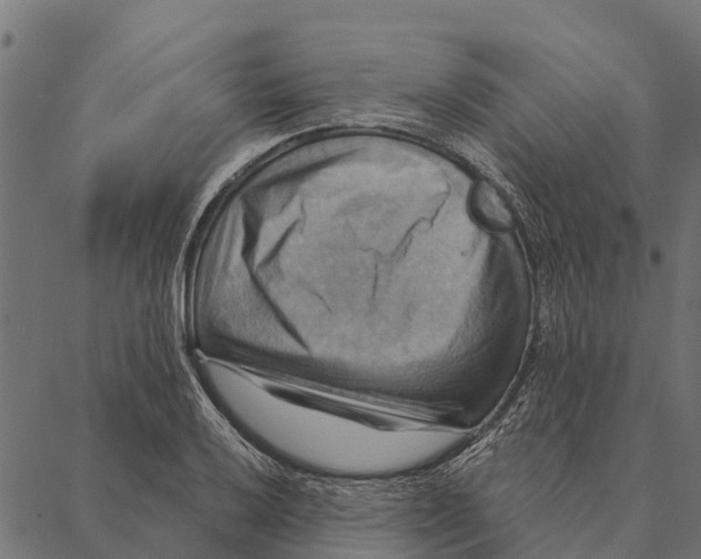 X0000087351032200705181121