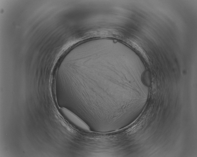 X0000087351035200705181121