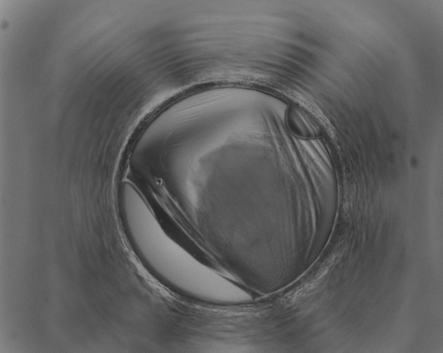 X0000087351037200705181121