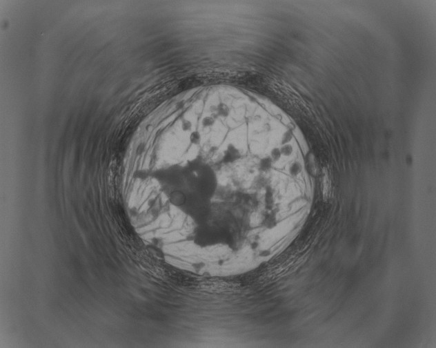 X0000087351059200705181121