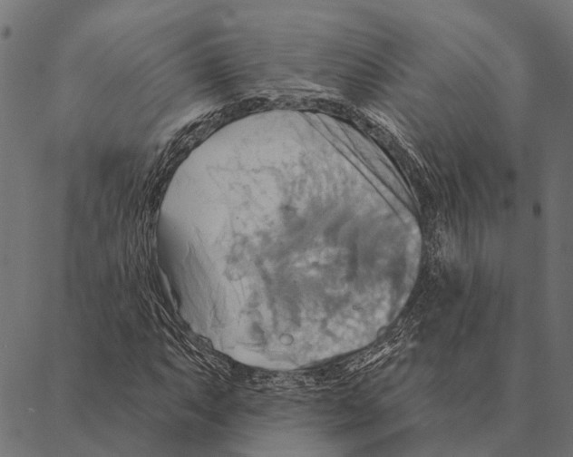 X0000087351063200705181121