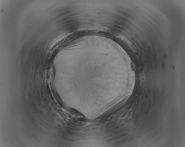 X0000087351064200705181121