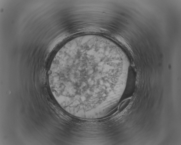 X0000087351067200705181120