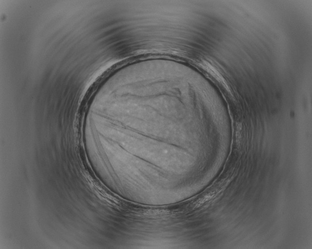 X0000087351068200705181120