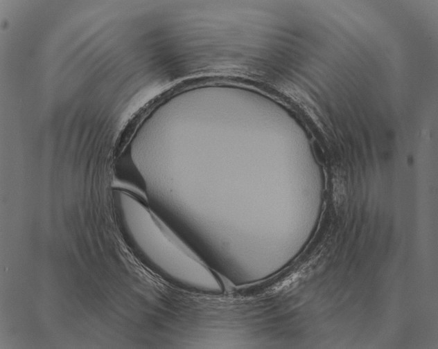 X0000087351069200705181120