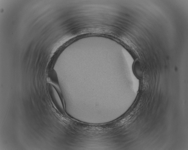 X0000087351070200705181120