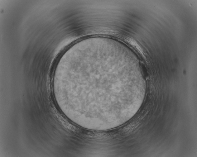 X0000087351072200705181120